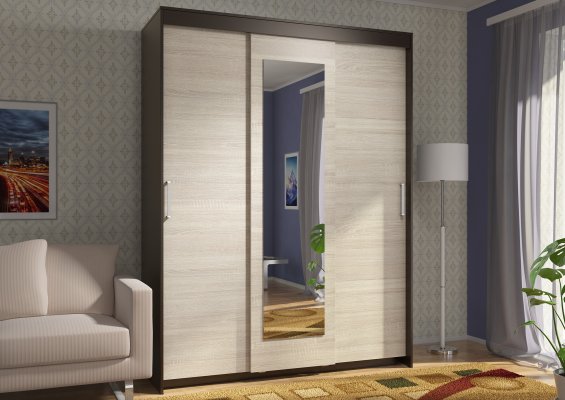 Шкаф-купе Эва ШК-017