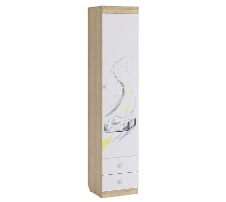 Комбинированный одностворчатый шкаф Форсаж с рисунком