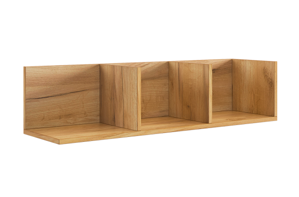 Навесная полка Рич 2