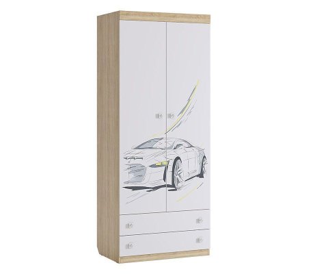 Комбинированный двухстворчатый шкаф Форсаж с рисунком